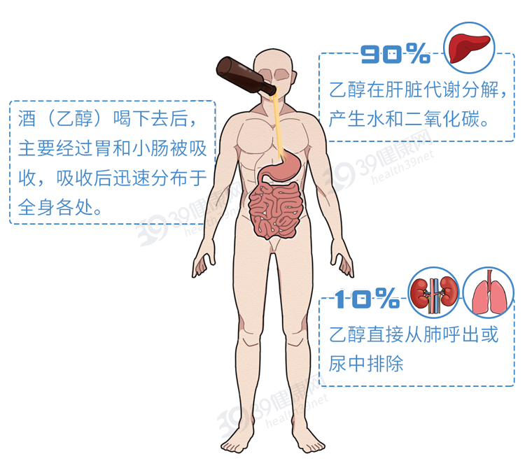 怎样才能快速解酒?蜂蜜、浓茶都没用!告诉你真正有效的方法 怎样才能快速解酒?蜂蜜、浓茶都没用!告诉你真正有效的方法