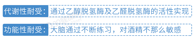 怎样才能快速解酒?蜂蜜、浓茶都没用!告诉你真正有效的方法 怎样才能快速解酒?蜂蜜、浓茶都没用!告诉你真正有效的方法