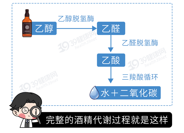 怎样才能快速解酒?蜂蜜、浓茶都没用!告诉你真正有效的方法 怎样才能快速解酒?蜂蜜、浓茶都没用!告诉你真正有效的方法